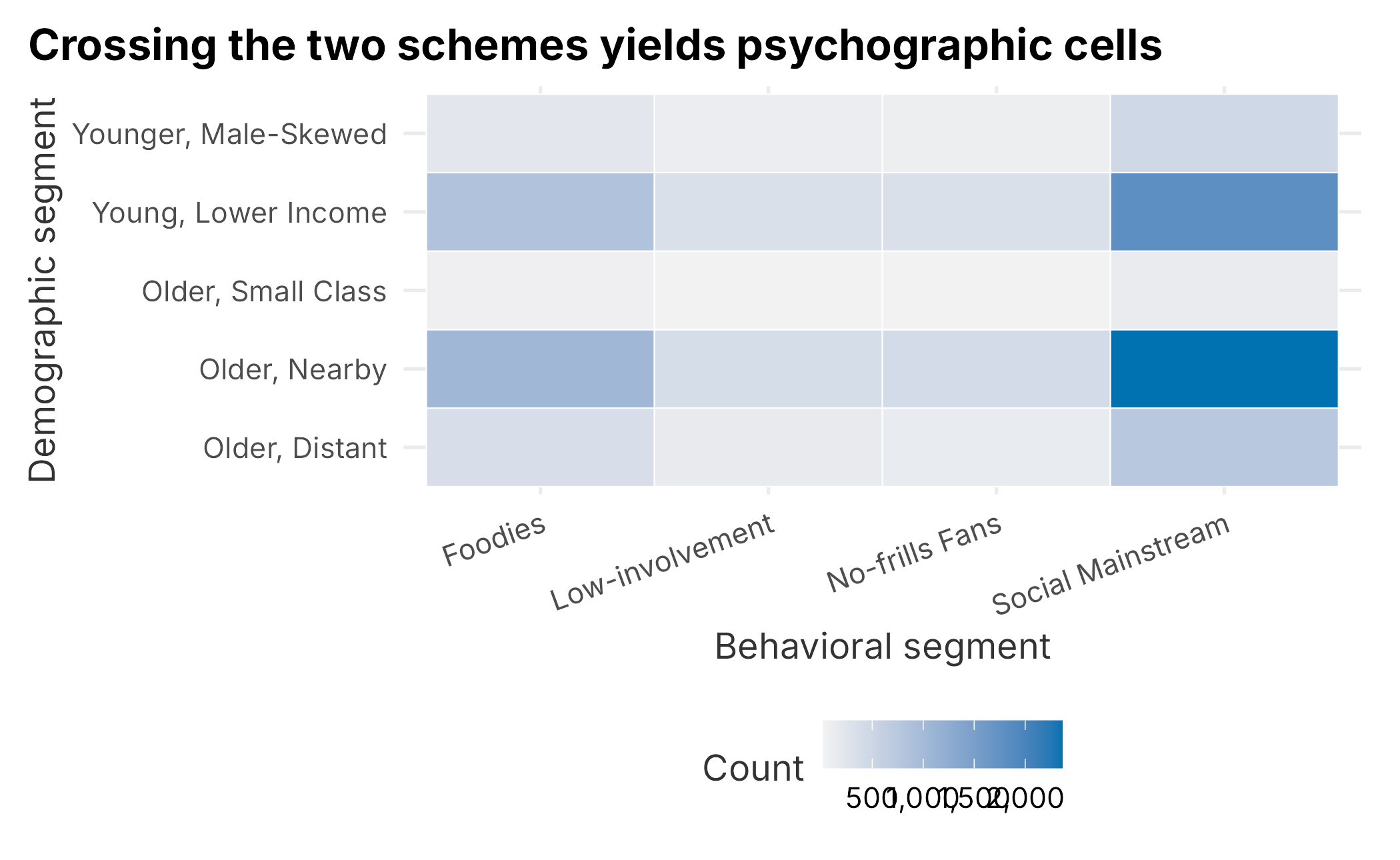 Behavioral segment by demographic segment